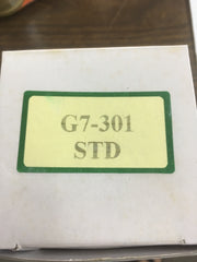 G7-301 Piston